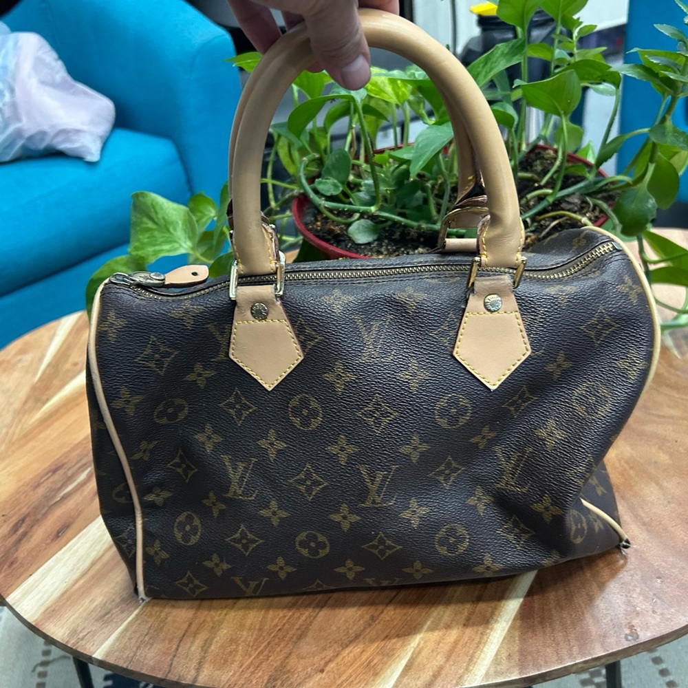 LV Brown Monogram Handbag